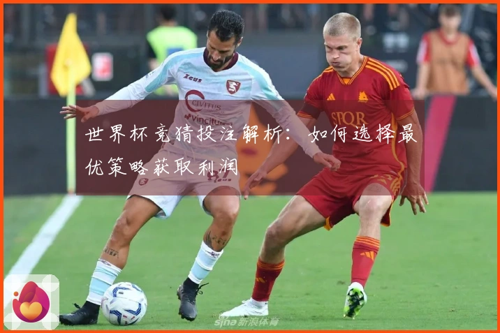 世界杯竞猜投注解析：如何选择最优策略获取利润