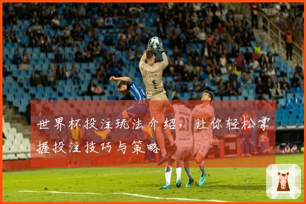 世界杯投注玩法介绍，让你轻松掌握投注技巧与策略