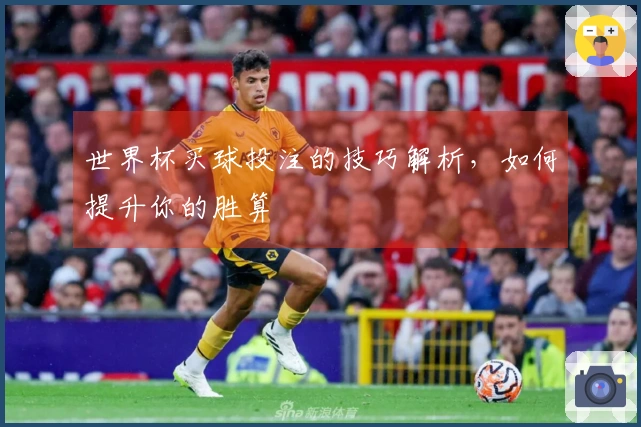 世界杯买球投注的技巧解析，如何提升你的胜算