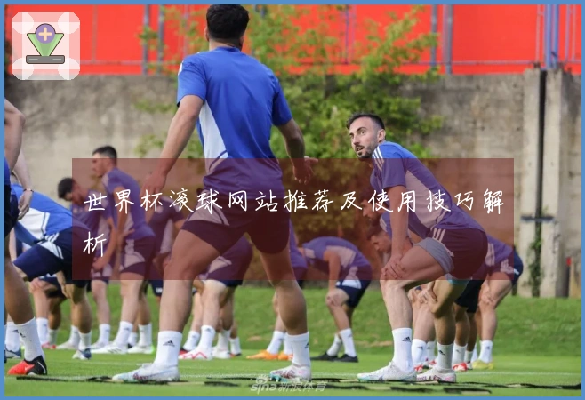 世界杯滚球网站推荐及使用技巧解析