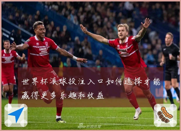 世界杯滚球投注入口如何选择才能赢得更多乐趣和收益