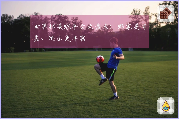 世界杯滚球平台大盘点：哪家更可靠、玩法更丰富