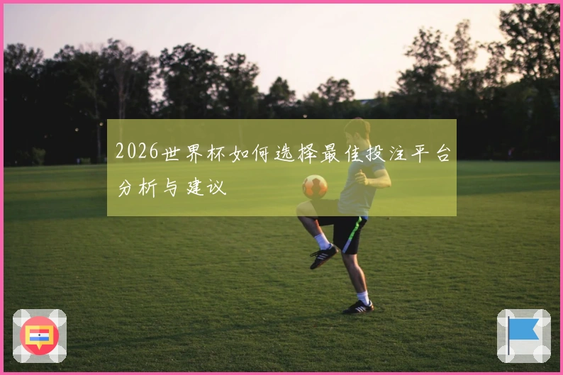 2026世界杯如何选择最佳投注平台分析与建议