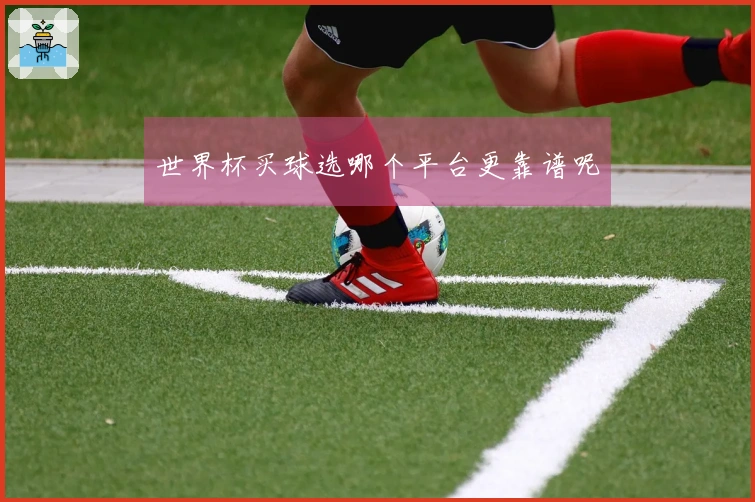 世界杯买球选哪个平台更靠谱呢