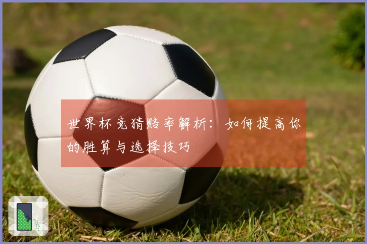 世界杯竞猜赔率解析：如何提高你的胜算与选择技巧