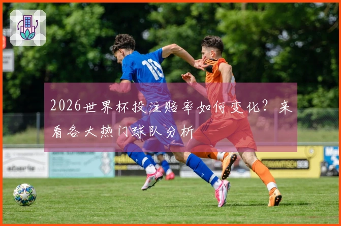 2026世界杯投注赔率如何变化？来看各大热门球队分析