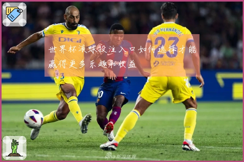世界杯滚球投注入口如何选择才能赢得更多乐趣和收益