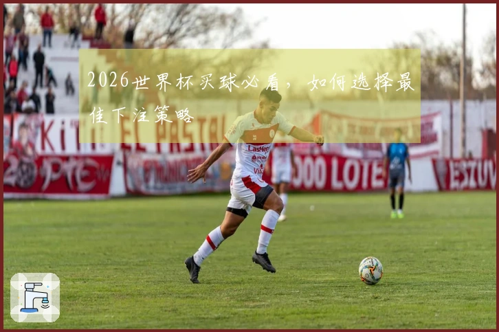 2026世界杯买球必看，如何选择最佳下注策略