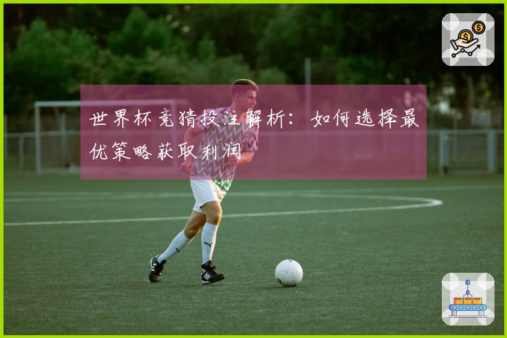世界杯竞猜投注解析：如何选择最优策略获取利润