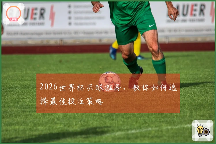 2026世界杯买球推荐，教你如何选择最佳投注策略