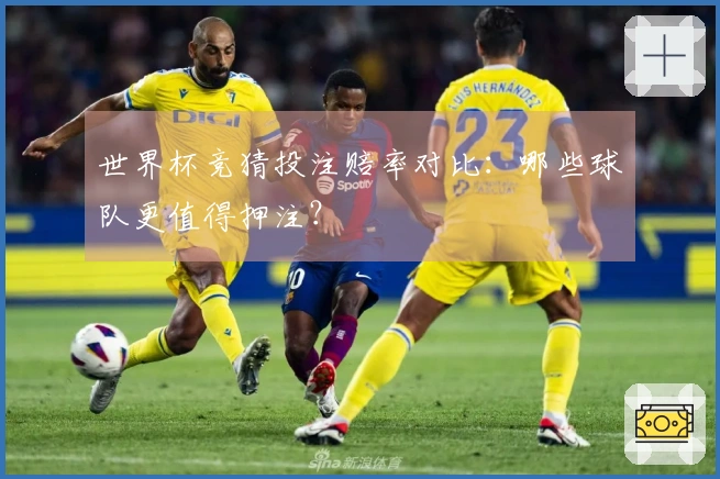 世界杯竞猜投注赔率对比：哪些球队更值得押注？