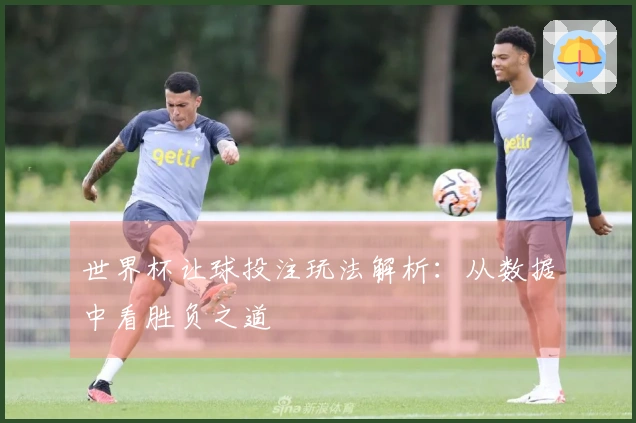 世界杯让球投注玩法解析：从数据中看胜负之道