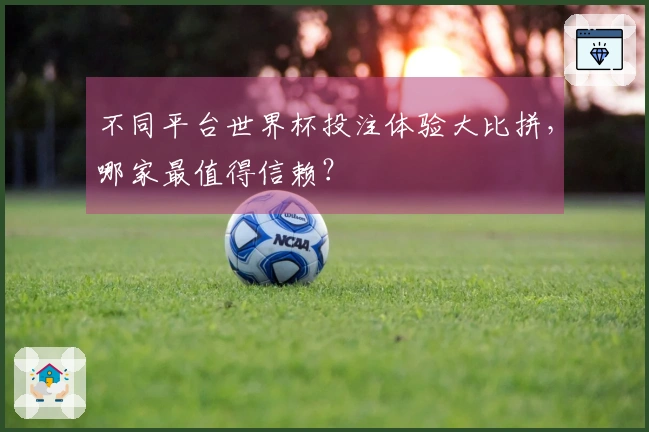 不同平台世界杯投注体验大比拼，哪家最值得信赖？