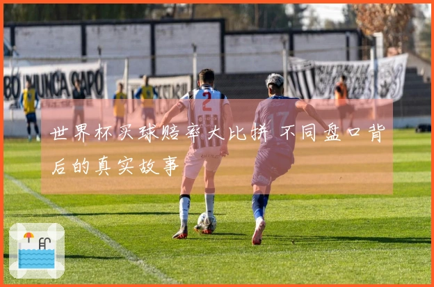 世界杯买球赔率大比拼 不同盘口背后的真实故事