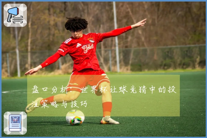 盘口分析：世界杯让球竞猜中的投注策略与技巧