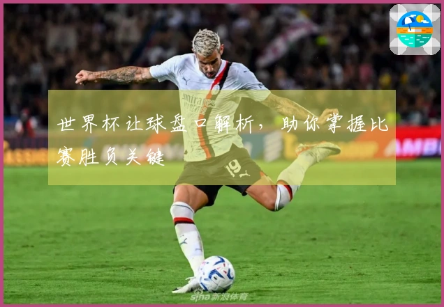 世界杯让球盘口解析，助你掌握比赛胜负关键