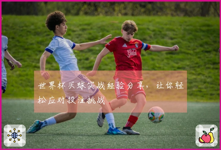 世界杯买球实战经验分享，让你轻松应对投注挑战