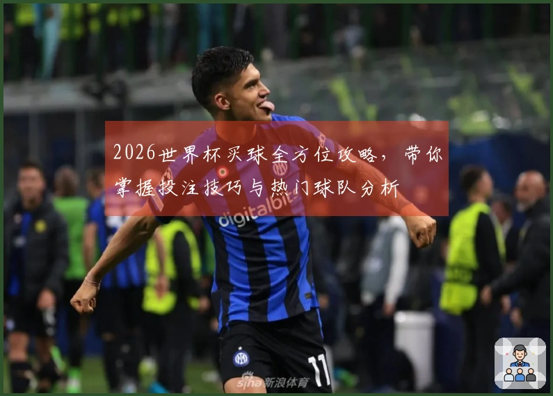2026世界杯买球全方位攻略，带你掌握投注技巧与热门球队分析