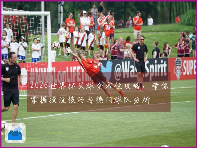 2026世界杯买球全方位攻略，带你掌握投注技巧与热门球队分析