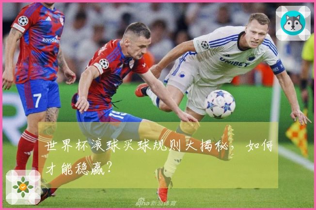 世界杯滚球买球规则大揭秘，如何才能稳赢？