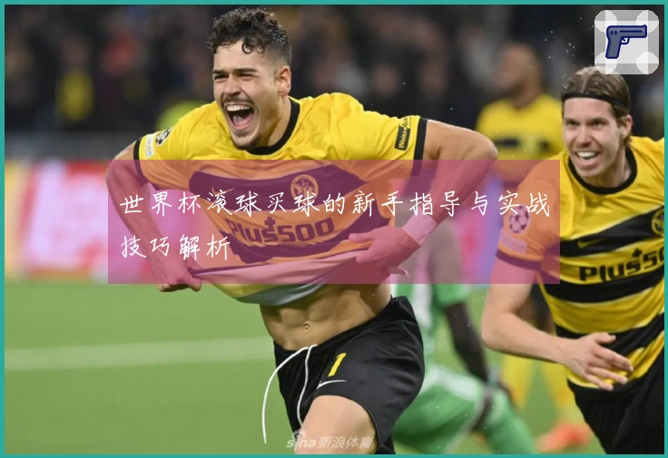 世界杯滚球买球的新手指导与实战技巧解析